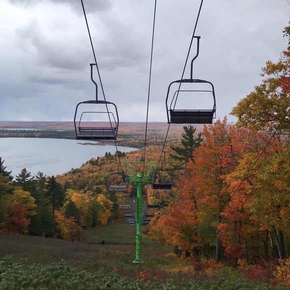 Meet your Posher, Zoe - Picture 1 of 1